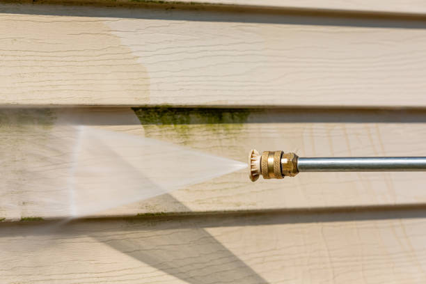 Best Local Pressure Washing Services  in Middletown, DE